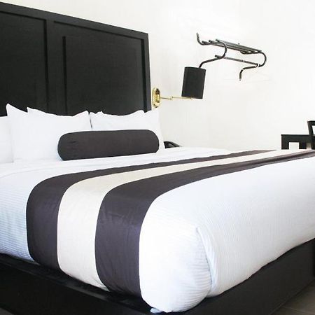 Hotel El Camino Inn & Suites Reynosa Bagian luar foto